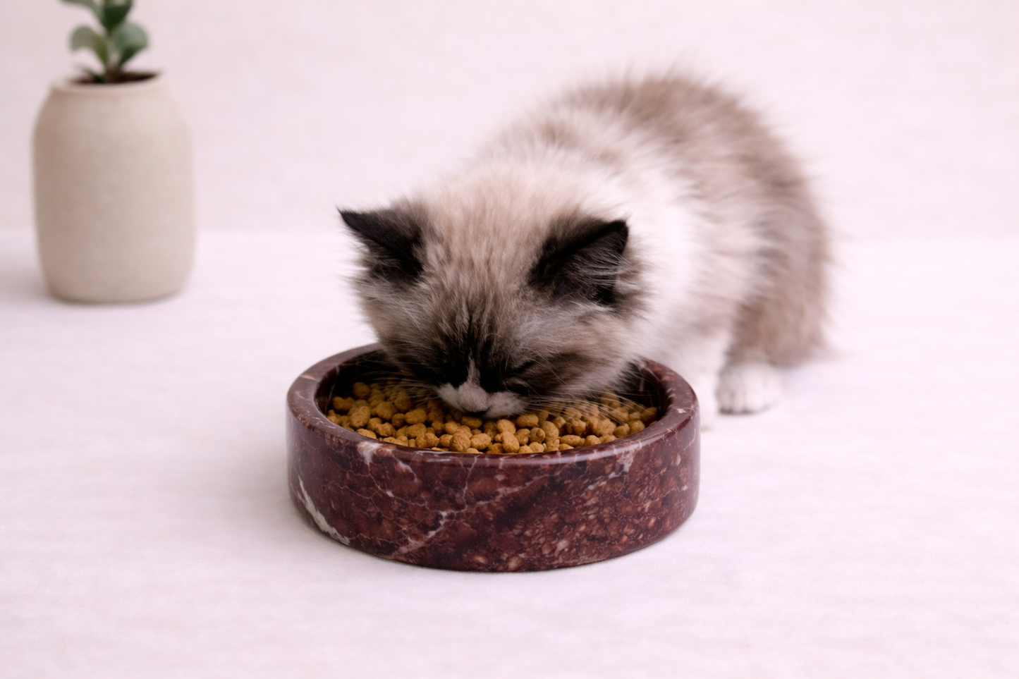 Marble Cat Bowl | Luxury Stone Pet Feeder | Modern Pet Decor